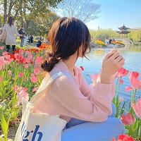城語誌